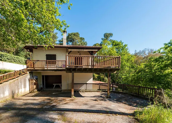 T3 Grande Terrasse Vue Foret 公寓