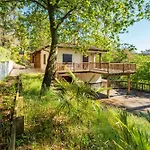 T3 Grande Terrasse Vue Foret Lägenhet *